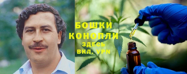индика Аркадак