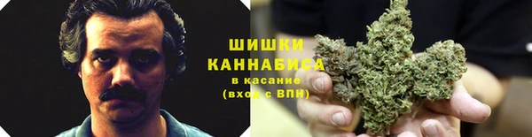 бутират Арсеньев