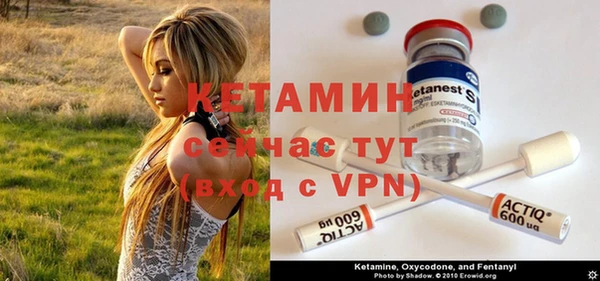индика Аркадак
